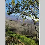 Casa Rural: La Casa Magica De Gredos Chalet