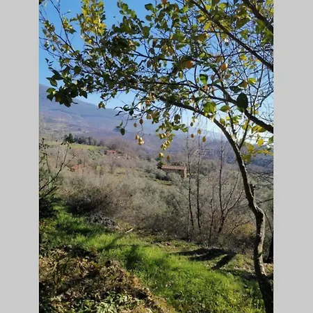 Casa Rural: La Casa Magica De Gredos 木屋