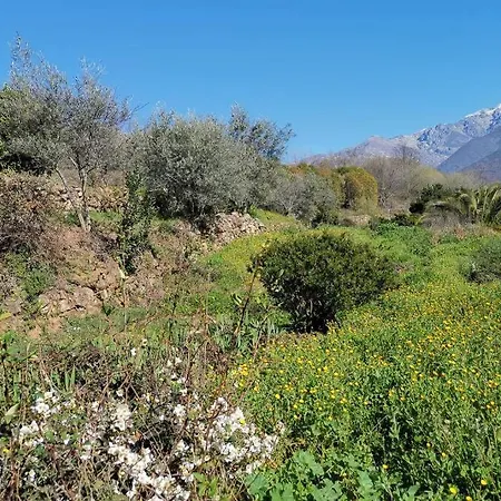Alpehytte Casa Rural: La Casa Magica De Gredos Madrigal de la Vera