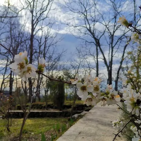 Casa Rural: La Casa Magica De Gredos 木屋 马德里加尔德拉韦拉