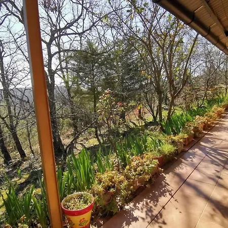 Casa Rural: La Casa Magica De Gredos Madrigal de la Vera