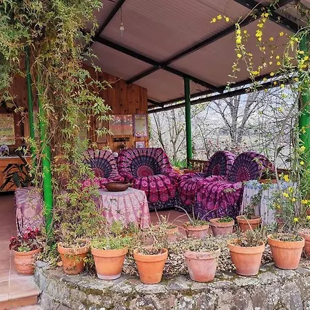 Casa Rural: La Casa Magica De Gredos * Madrigal de la Vera