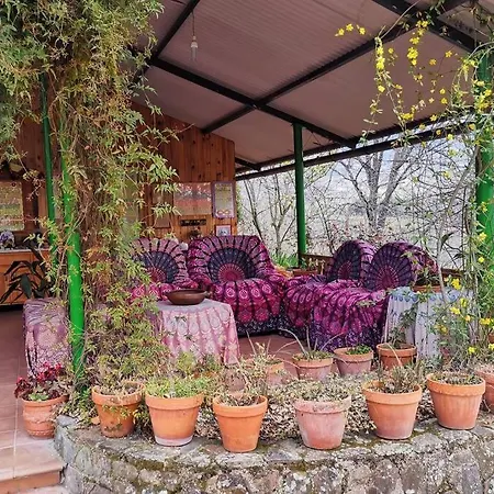 Casa Rural: La Casa Mágica De Gredos * Madrigal de la Vera