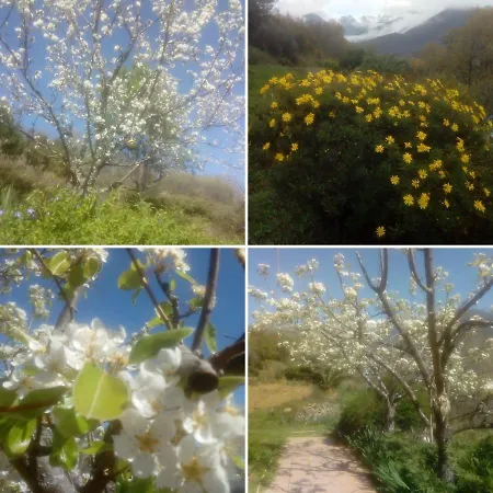Casa Rural: La Casa Magica De Gredos *
