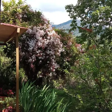 Casa Rural: La Casa Magica De Gredos * Madrigal de la Vera
