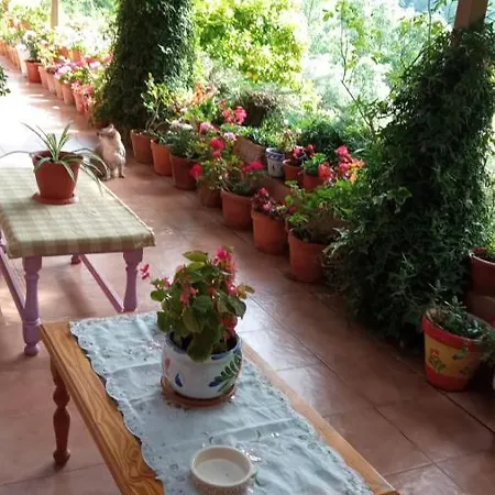 Chalet Casa Rural: La Casa Magica De Gredos