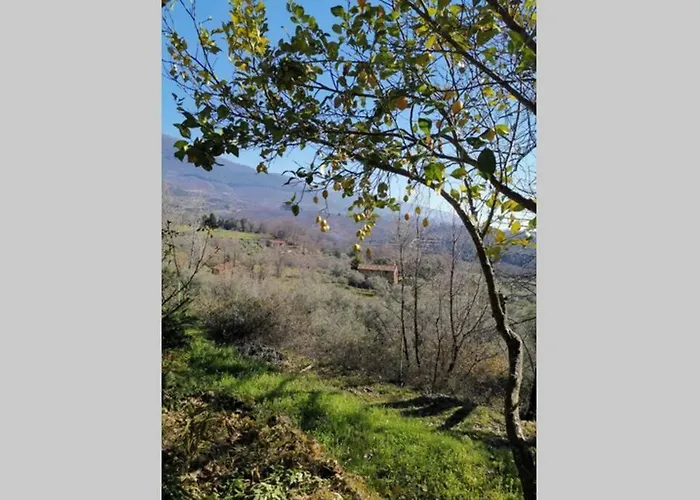 Casa Rural: La Casa Magica De Gredos Шале