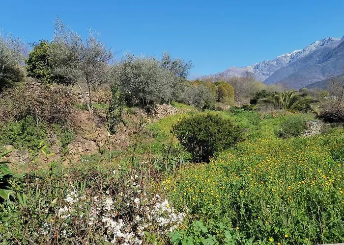 Chalet Casa Rural: La Casa Mágica De Gredos Madrigal de la Vera