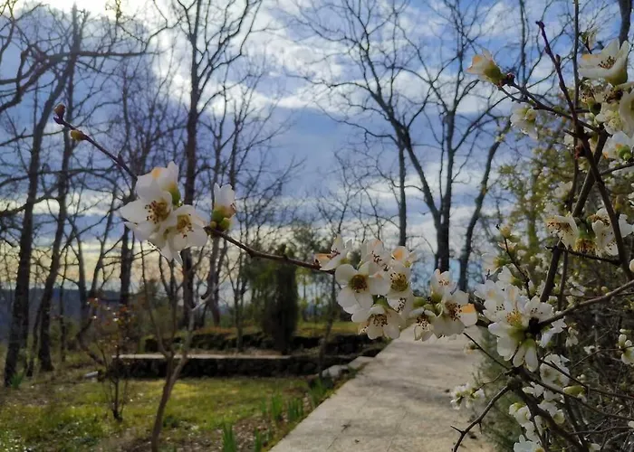 Casa Rural: La Casa Magica De Gredos Шале Мадригаль-де-ла-Вера