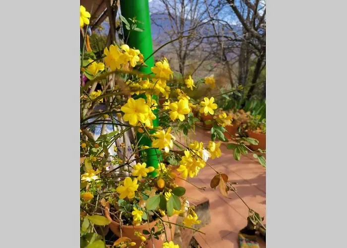 Шале Casa Rural: La Casa Magica De Gredos Мадригаль-де-ла-Вера