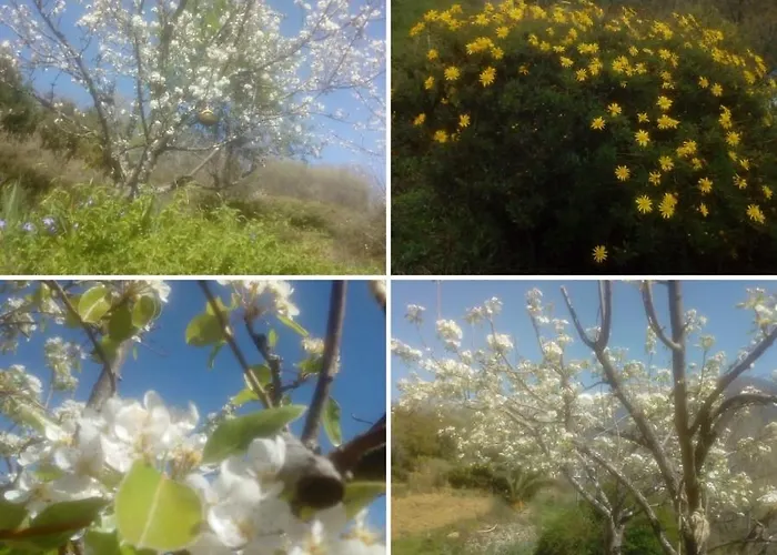 Casa Rural: La Casa Magica De Gredos *