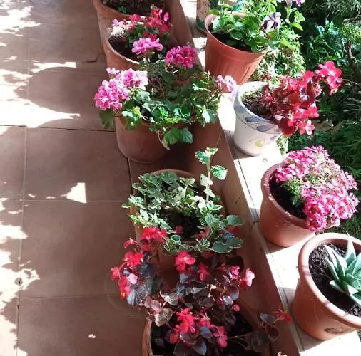 Casa Rural: La Casa Magica De Gredos Шале *