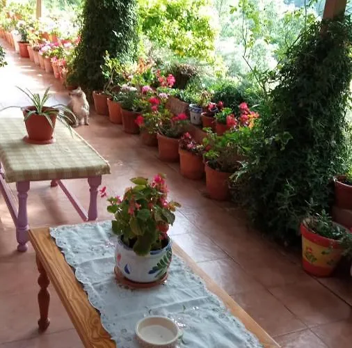 Шале Casa Rural: La Casa Magica De Gredos