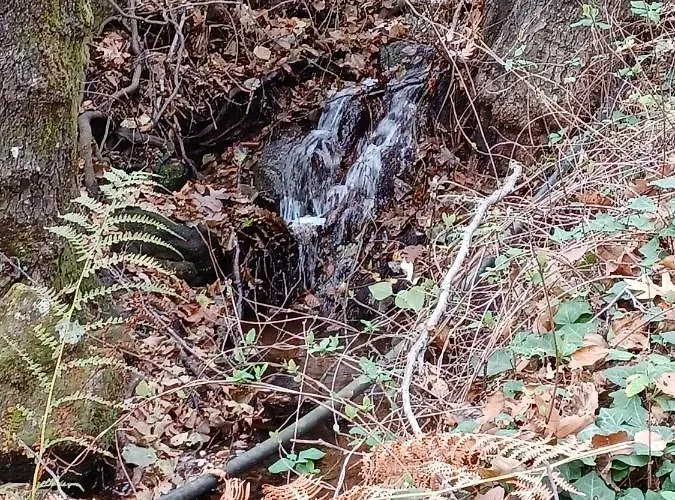 Casa Rural: La Casa Magica De Gredos Шале Мадригаль-де-ла-Вера